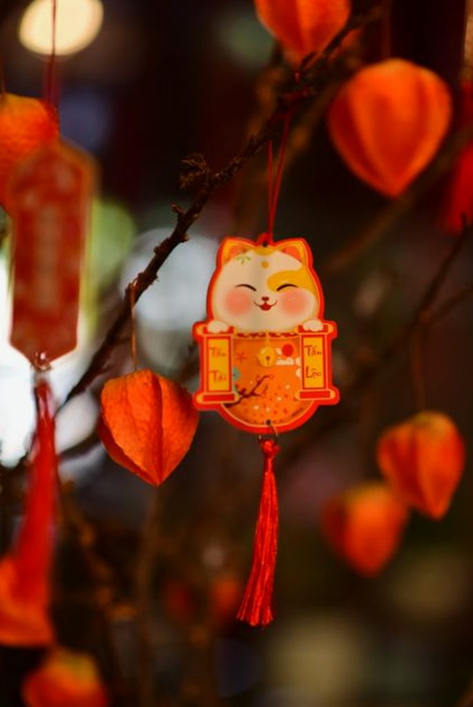 diễn đàn 8Day